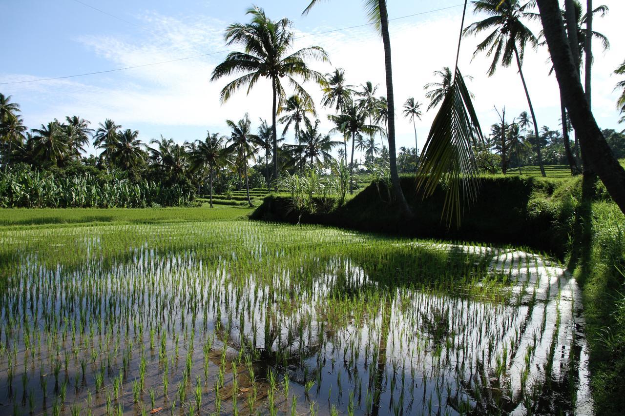 Rumah Kita โลวินา ภายนอก รูปภาพ