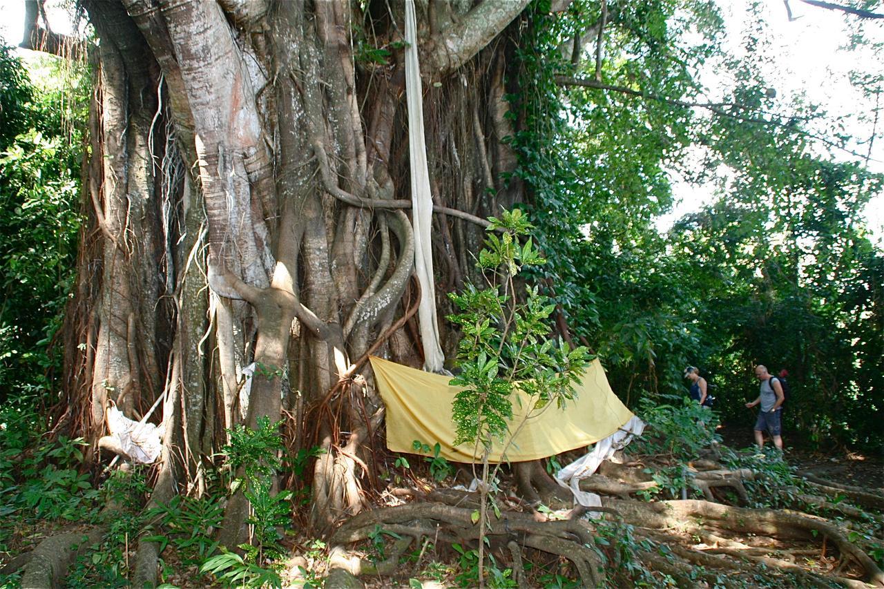 Rumah Kita โลวินา ภายนอก รูปภาพ